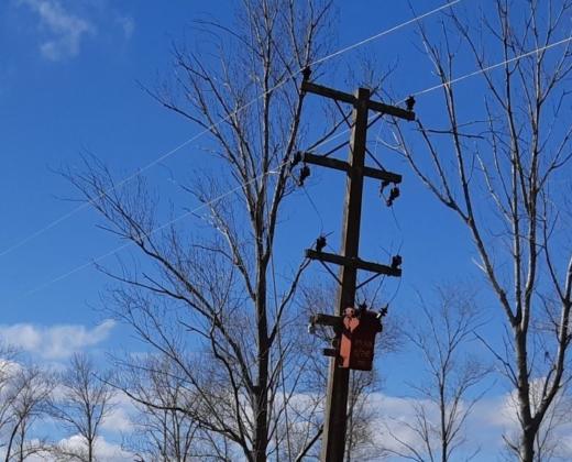 Power Outages