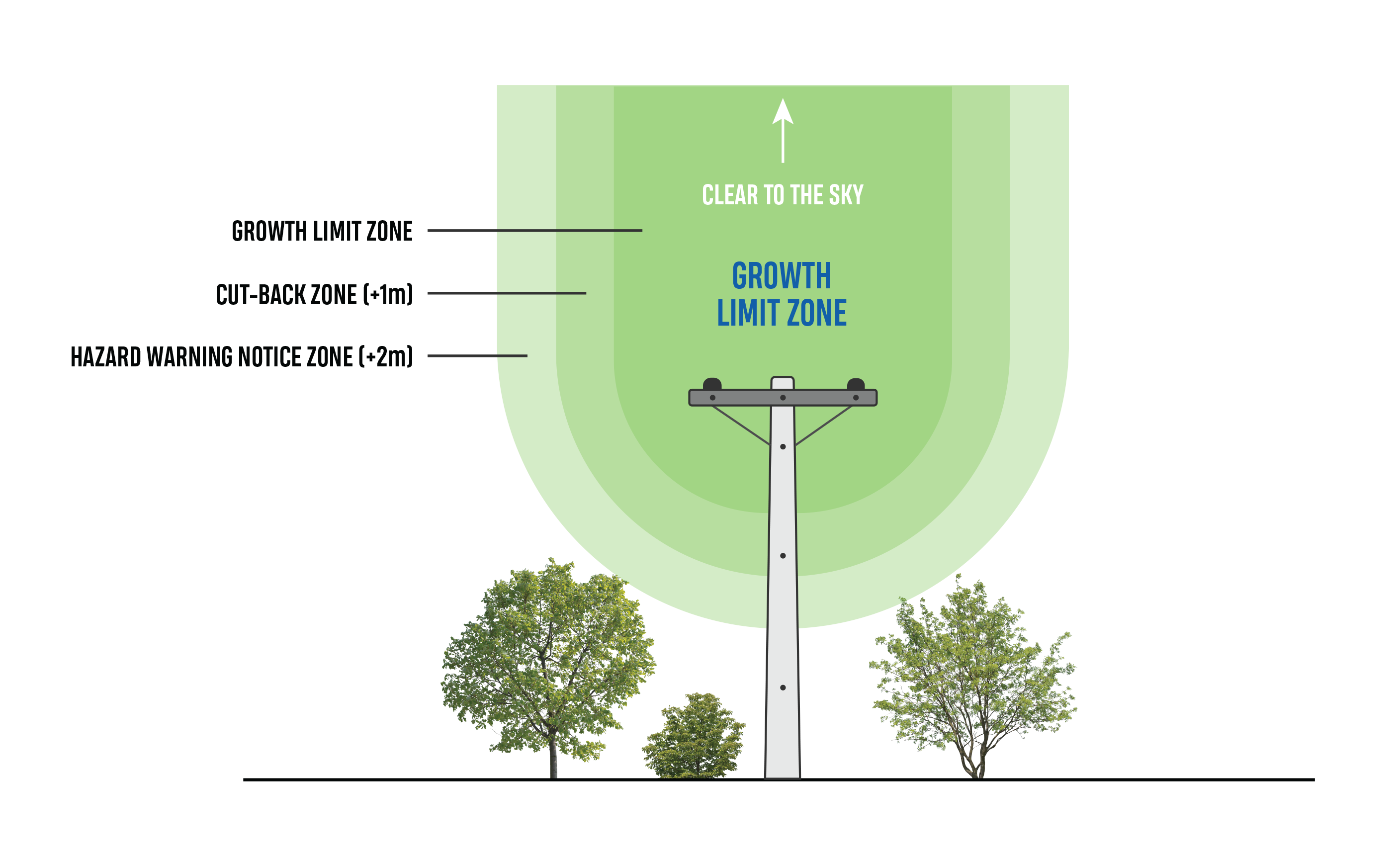 Tree Regulation Graphics TE Colours Clear to Sky NO Header Sep26 V02