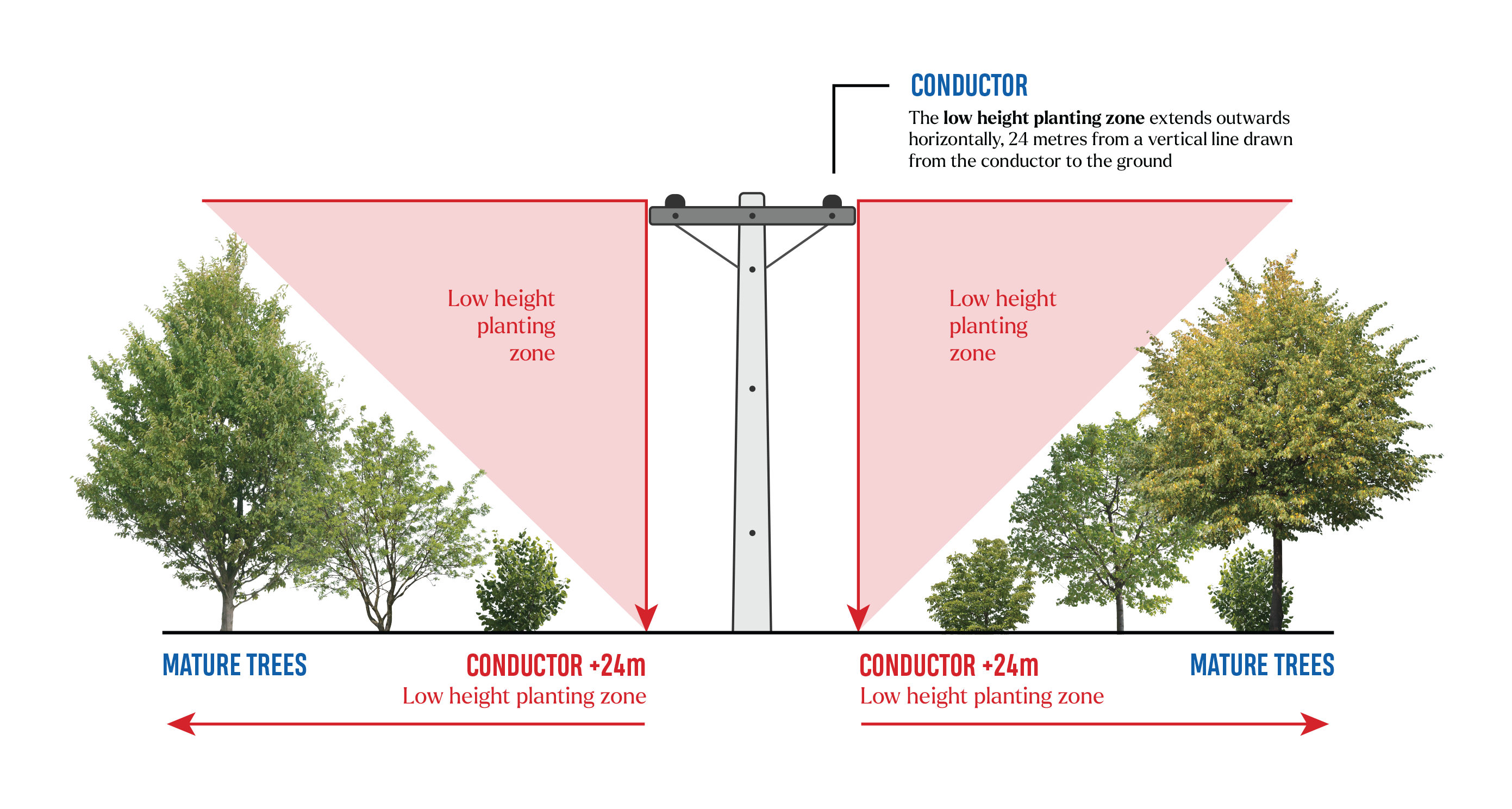 Tree Regulation Graphics TE Colours Low Height Planting Zone NO Header Sep26 V02