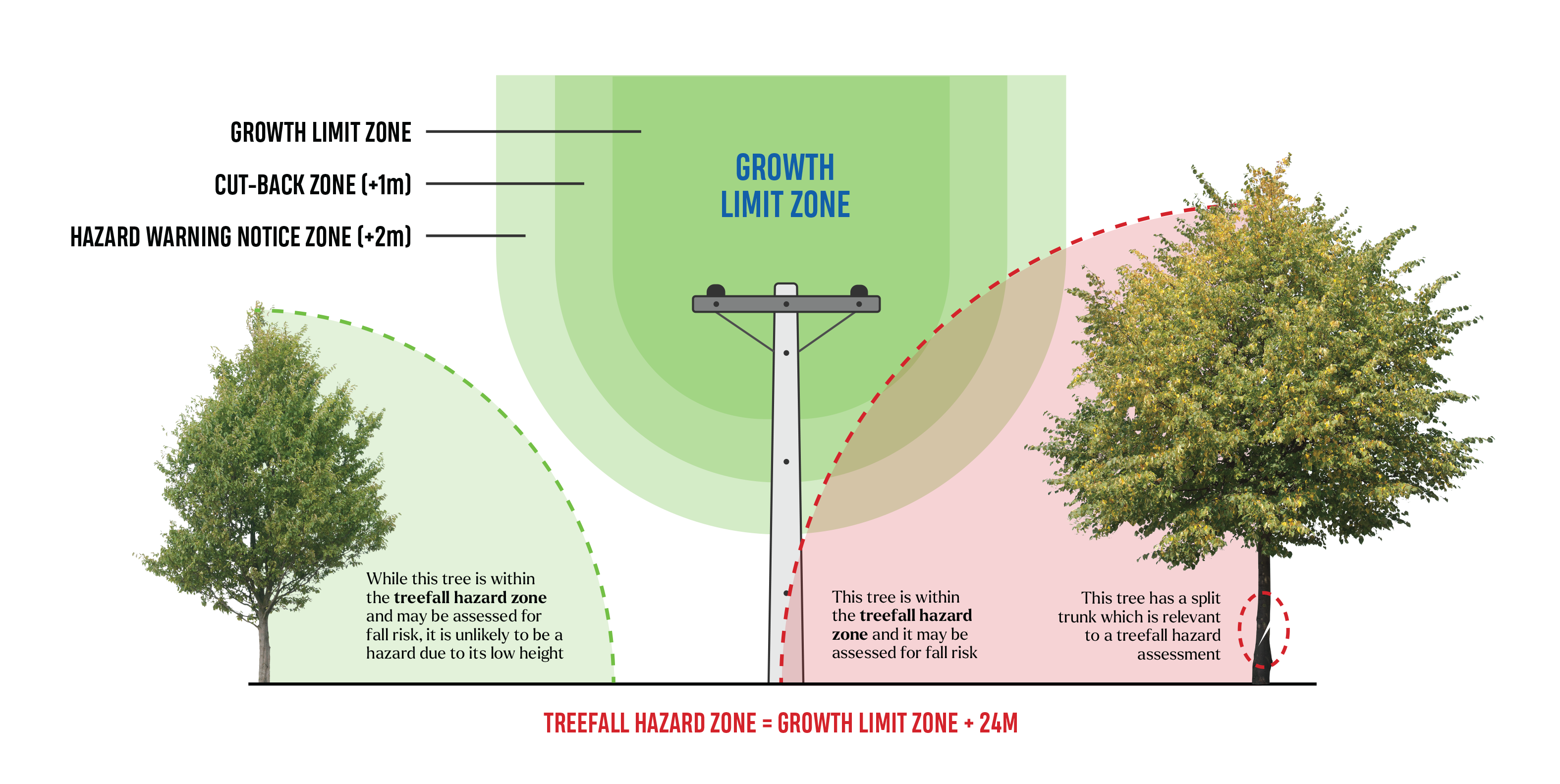 Tree Regulation Graphics TE Colours Treefall Hazard Zone NO Header Sep26 V02