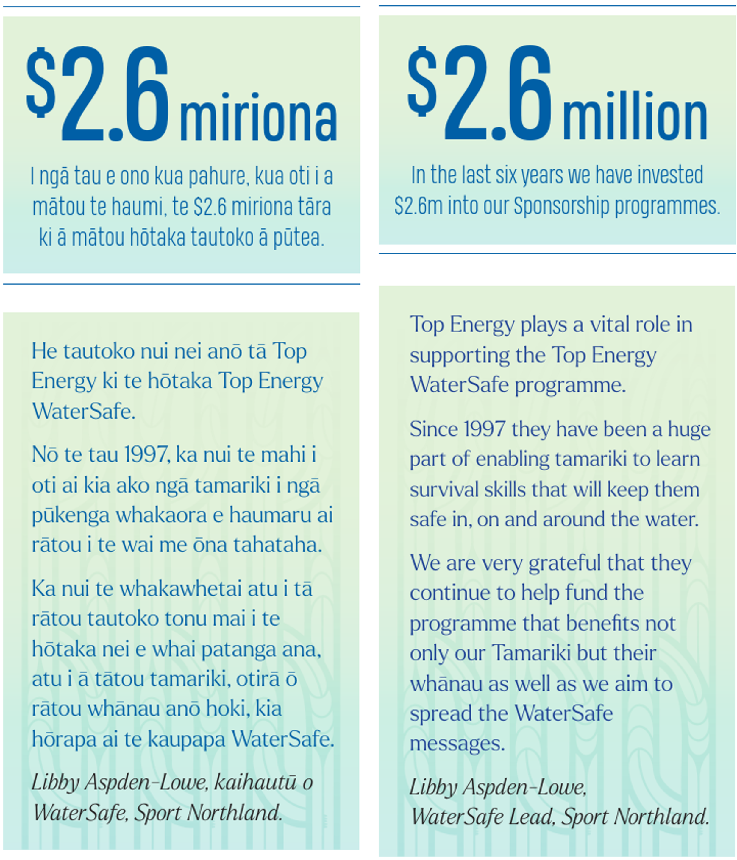 Watersafe Advertorial Website 4 220126