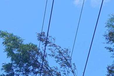 33 KV to Mt Pokaka damage 2