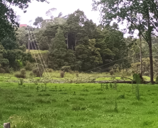 Network extensively damaged by Cyclone