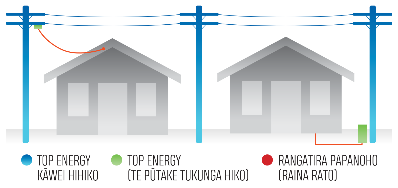 Line ownership maori