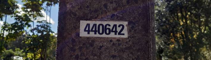 Close up of concrete power pole with asset number attached